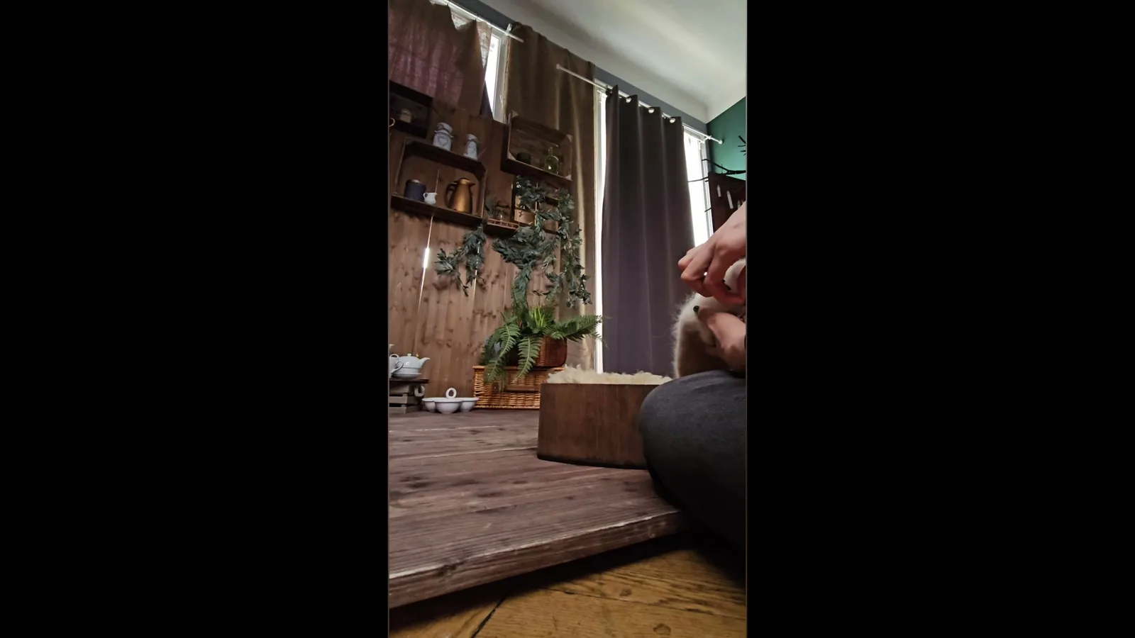 Videovorschau